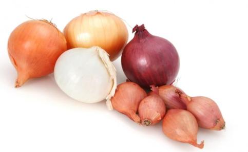 Garlic and onions antitumor allies should not miss in your diet