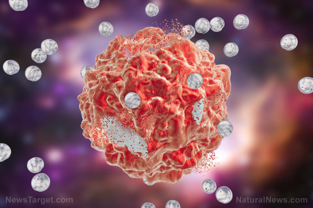 NECRO-Medicine: Animal study suggests an injection of DEAD CELLS might help prevent cancer