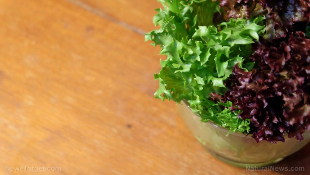 Reasons to add nutritious red lettuce to your diet (plus a delicious smoothie recipe)