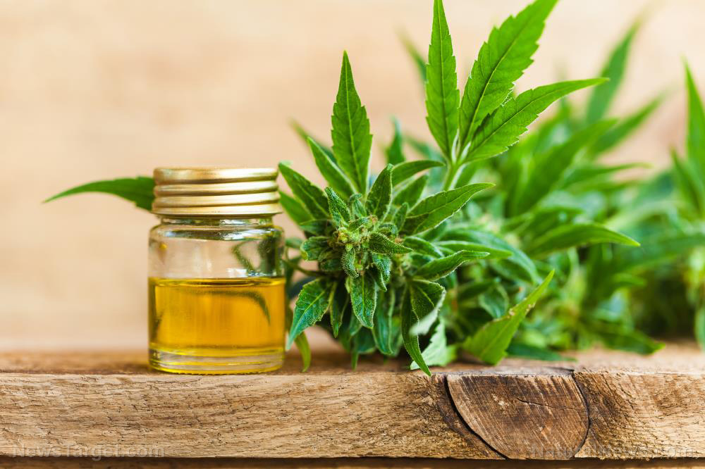 CBD vs. coronavirus? Potential natural remedies that promote immunity