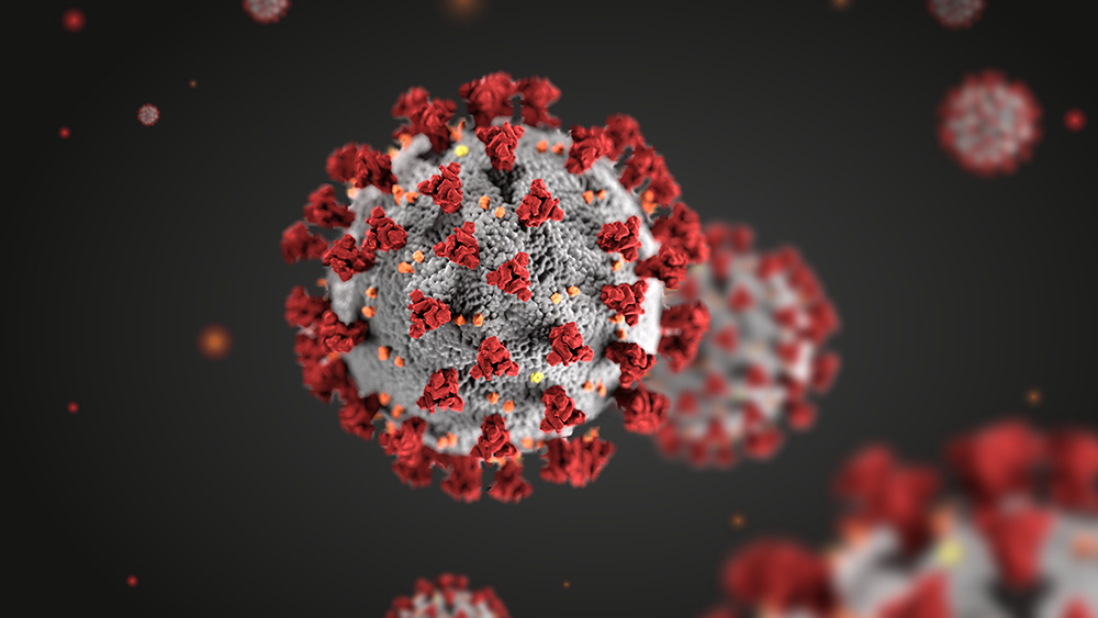 The coronavirus may actually be a vascular – and not a respiratory – disease