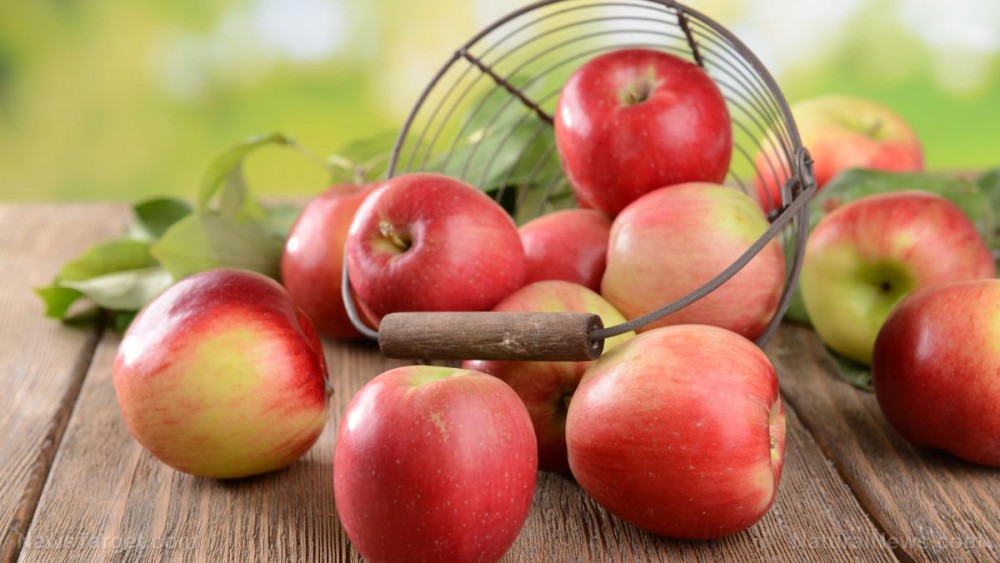 Eating apples and other flavonoid-rich foods lowers cancer and heart disease risk, researchers find