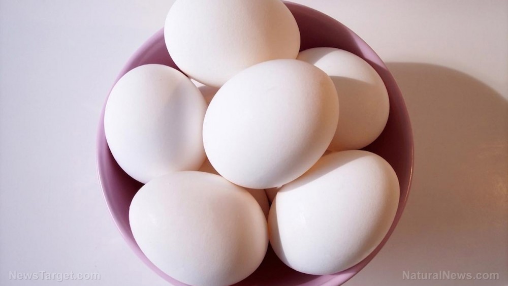 Study: Nutrient in eggs and meat found to significantly reduce dementia risk