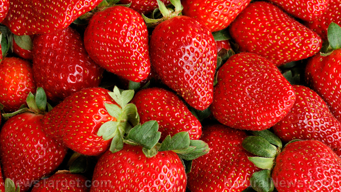 Consuming more strawberries may help lower Alzheimer’s risk among the elderly