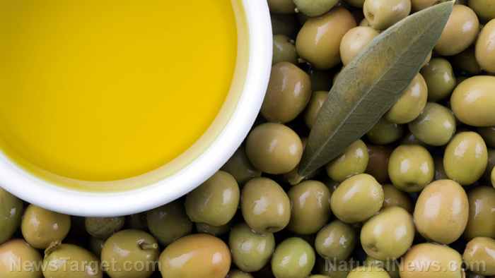 5 Reasons to use cold pressed olive oil, a cooking oil full of healthy fats