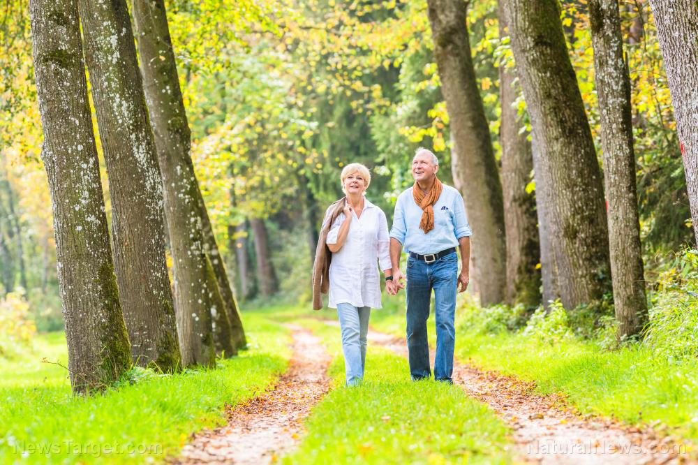 Octogenarians who walk at least an hour every week reduce their risk of dying from all causes by 40%