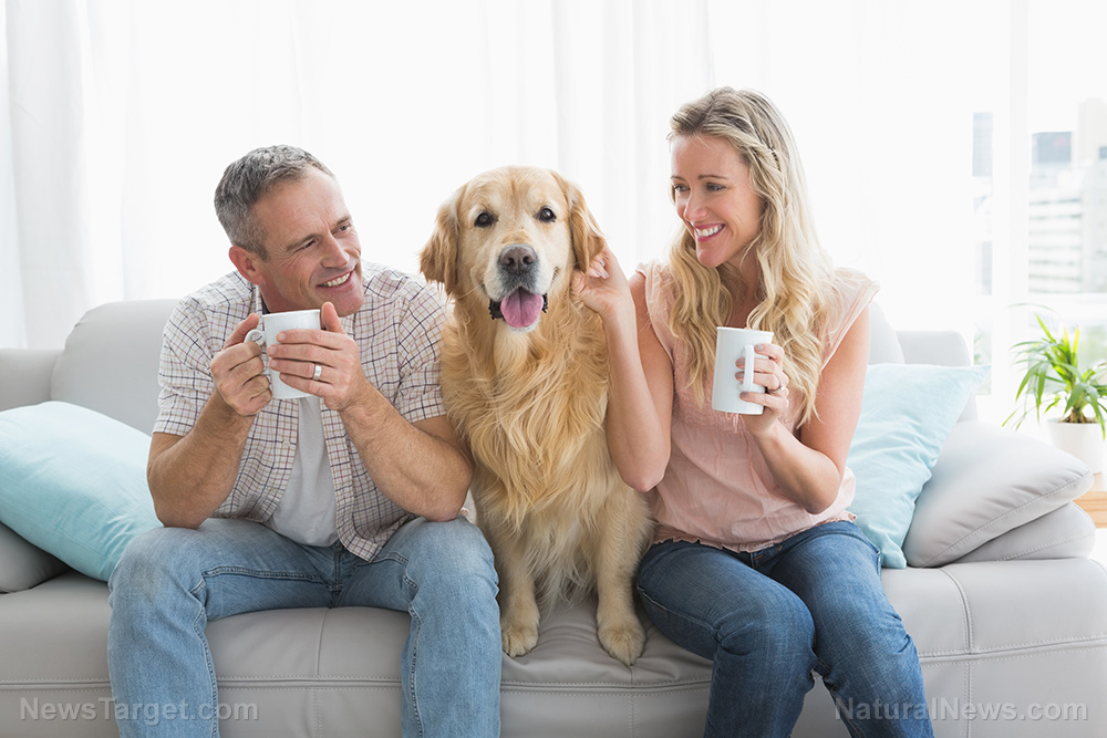 Boost longevity with a cup of delicious cold brew coffee (Recipes included)